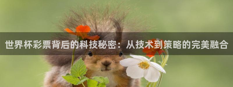 亚洲区世界杯预选赛：世界杯彩票背后的科技秘密：从技术到策略的完美融合