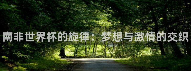 2006世界杯：南非世界杯的旋律：梦想与激情的交织