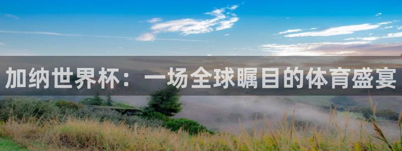 女足世界杯直播在线观看免费高清：加纳世界杯：一场全球瞩目的体育盛宴