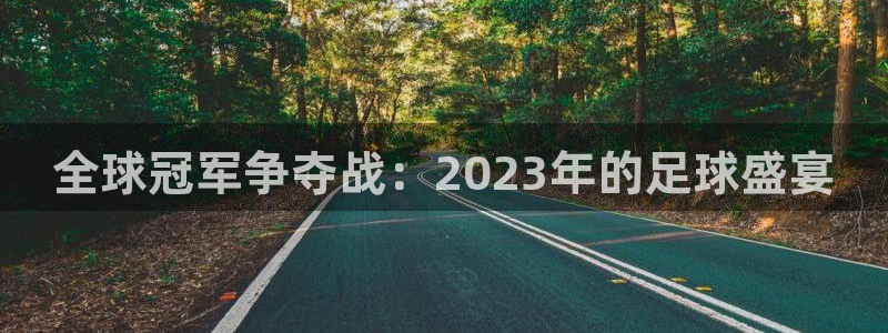 2026世界杯亚洲区预选赛赛程：全球冠军争夺战：2023年的足球盛宴