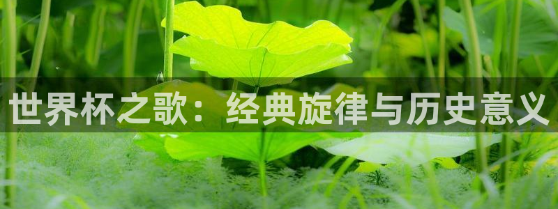 2026年世界杯对阵图：世界杯之歌：经典旋律与历史意义