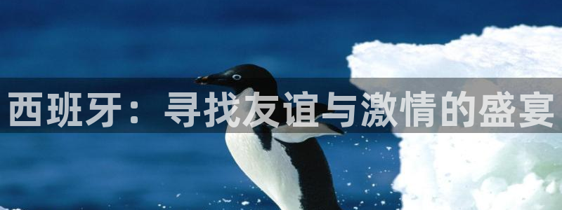 世界杯预赛赛程：西班牙：寻找友谊与激情的盛宴