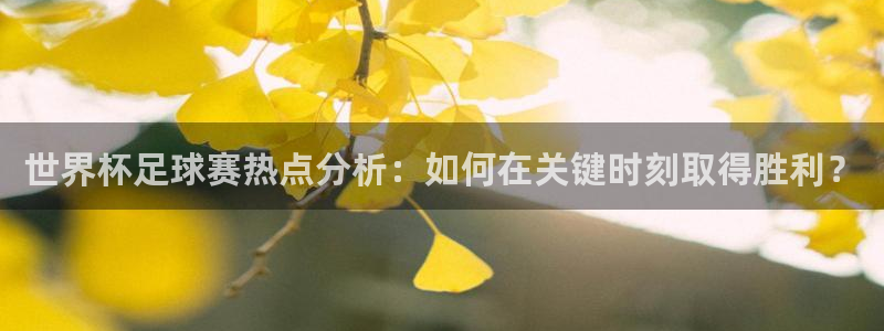 亚洲区世界杯预选赛：世界杯足球赛热点分析：如何在关键时刻取得胜利？