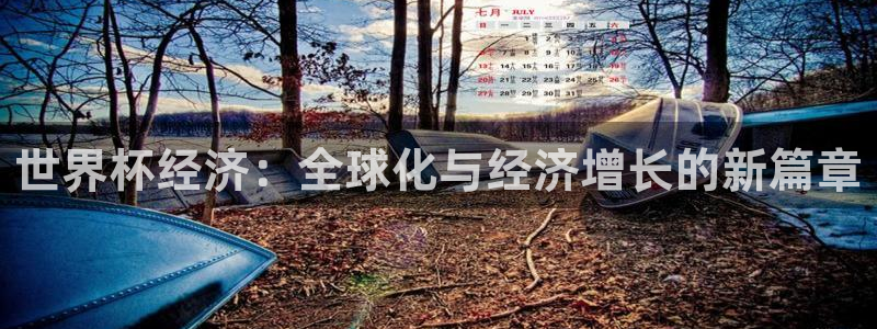 足球杯：世界杯经济：全球化与经济增长的新篇章