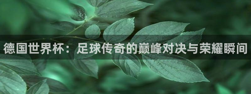 葡萄牙世界杯赛程：德国世界杯：足球传奇的巅峰对决与荣耀瞬间