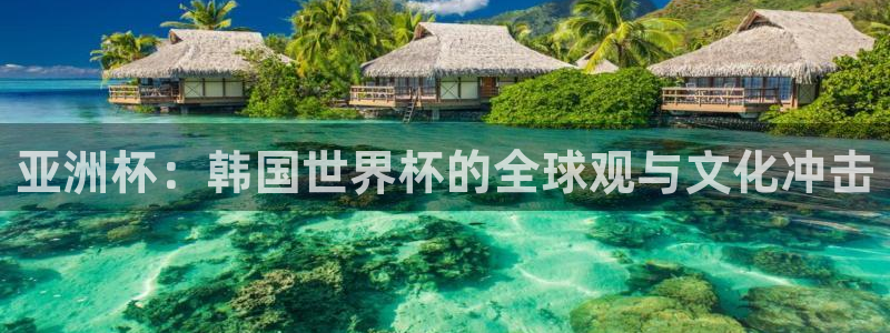 世界杯在线直播：亚洲杯：韩国世界杯的全球观与文化冲击