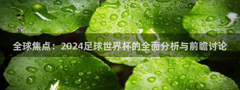 世界杯决赛预测：全球焦点：2024足球世界杯的全面分析与前瞻讨论