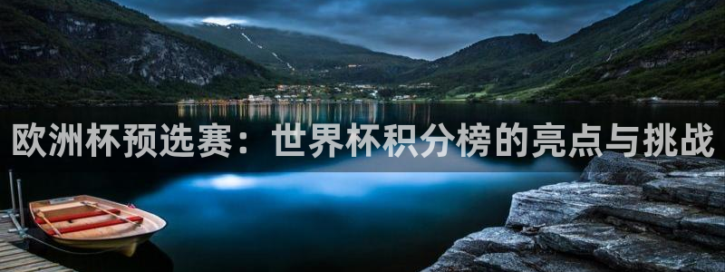 2026男足世界杯：欧洲杯预选赛：世界杯积分榜的亮点与挑战
