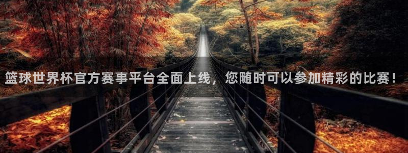 足球世界杯2026：篮球世界杯官方赛事平台全面上线，您随时可以参加精彩的比赛！
