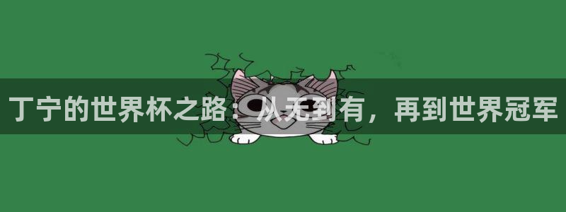 2026世界杯赛：丁宁的世界杯之路：从无到有，再到世界冠军