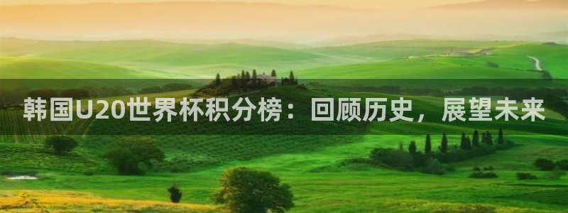 2026年世界杯对阵图：韩国U20世界杯积分榜：回顾历史，展望未来