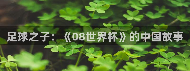 世界杯第一场比赛：足球之子：《08世界杯》的中国故事
